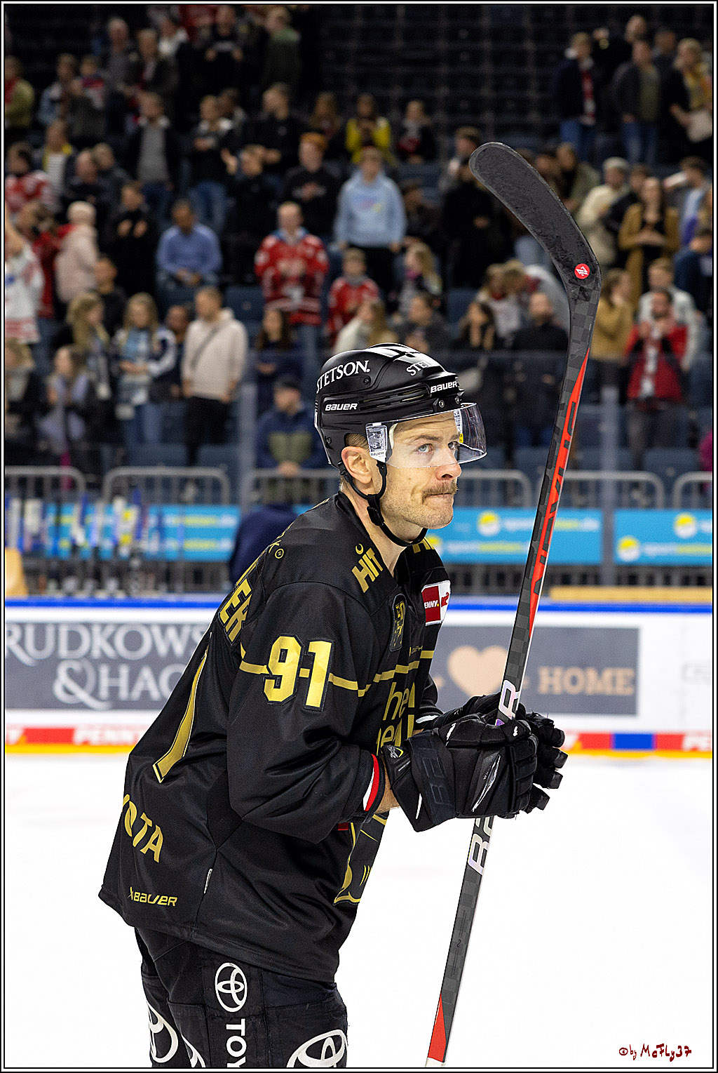 PENNY DEL;  Kölner Haie - ERC Ingolstadt; Köln, 25.11.2022